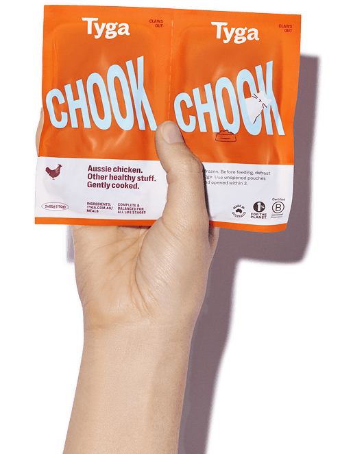 A hand holding a package of Tyga food